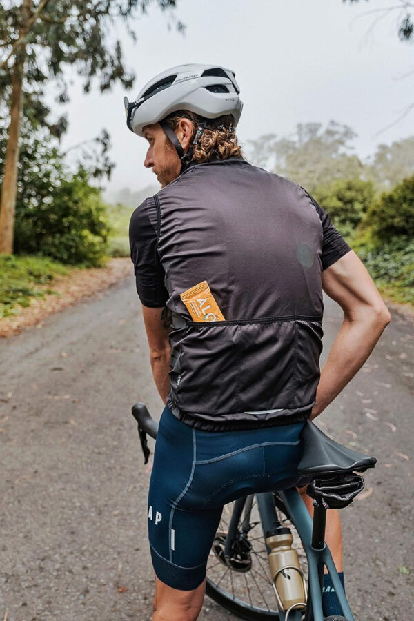 ALOHA Organic Plant Based Protein Bars |Peanut Butter Chocolate Chip | 1.98 Oz (Pack of 12) | Vegan, Low Sugar, Gluten Free, Paleo, Low Carb, Non-GMO, Stevia Free, Soy Free, No Sugar Alcohols