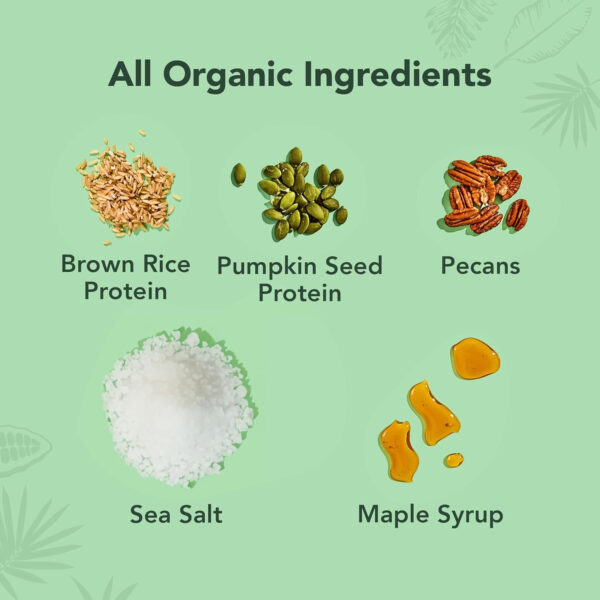 ALOHA Organic Plant Based Protein Bars |Peanut Butter Chocolate Chip | 1.98 Oz (Pack of 12) | Vegan, Low Sugar, Gluten Free, Paleo, Low Carb, Non-GMO, Stevia Free, Soy Free, No Sugar Alcohols