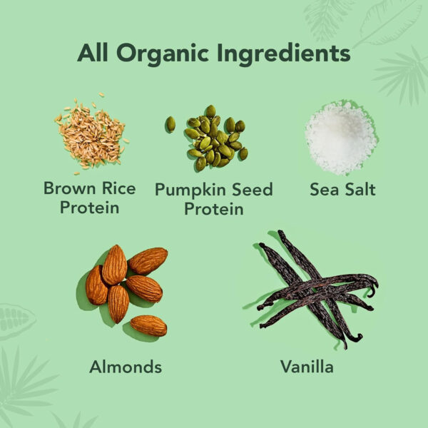 ALOHA Organic Plant Based Protein Bars |Peanut Butter Chocolate Chip | 1.98 Oz (Pack of 12) | Vegan, Low Sugar, Gluten Free, Paleo, Low Carb, Non-GMO, Stevia Free, Soy Free, No Sugar Alcohols