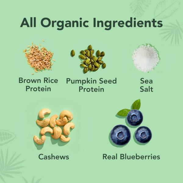 ALOHA Organic Plant Based Protein Bars |Peanut Butter Chocolate Chip | 1.98 Oz (Pack of 12) | Vegan, Low Sugar, Gluten Free, Paleo, Low Carb, Non-GMO, Stevia Free, Soy Free, No Sugar Alcohols