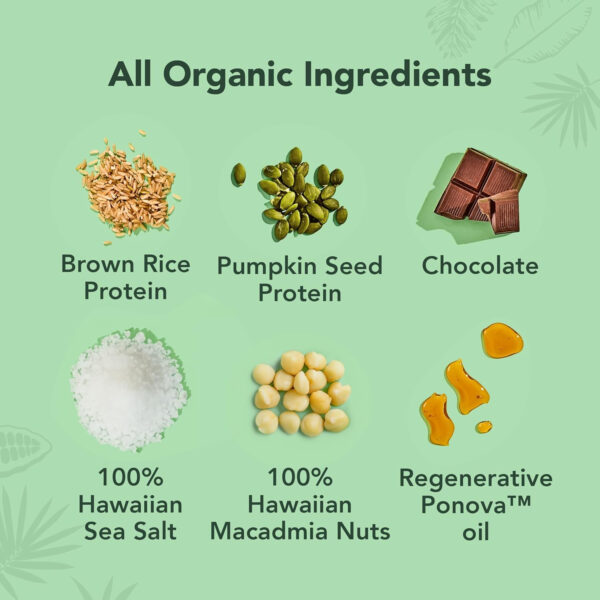 ALOHA Organic Plant Based Protein Bars |Peanut Butter Chocolate Chip | 1.98 Oz (Pack of 12) | Vegan, Low Sugar, Gluten Free, Paleo, Low Carb, Non-GMO, Stevia Free, Soy Free, No Sugar Alcohols