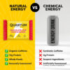 Quantum Energy Square: Energy Bar with Caffeine & 10g Protein. Delicious Healthy Snack On The Go. (Vegan, Gluten-free, Soy-free, Dairy-free) (Variety 12-Pack)