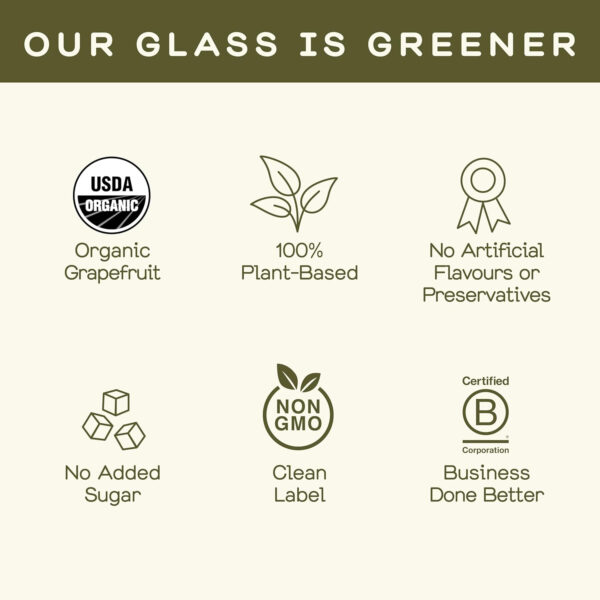 Greenhouse Juice Detox Wellness Shots Organic Immunity Shots Juice Liver Health Wellness + Anti-Inflammatory with Ginseng, Milk Thistle, and Dandelion Vegan & Gluten-Free (2 Oz, Pack of 12)