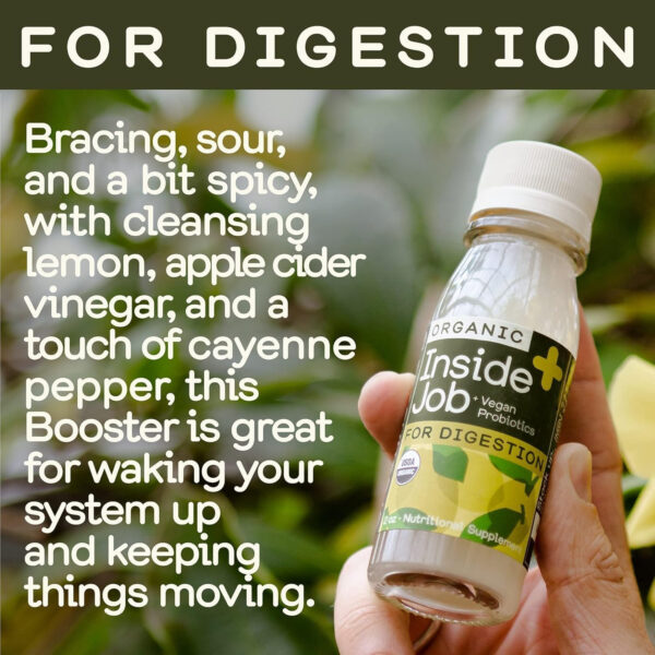 Greenhouse Juice Detox Wellness Shots Organic Immunity Shots Juice Liver Health Wellness + Anti-Inflammatory with Ginseng, Milk Thistle, and Dandelion Vegan & Gluten-Free (2 Oz, Pack of 12)