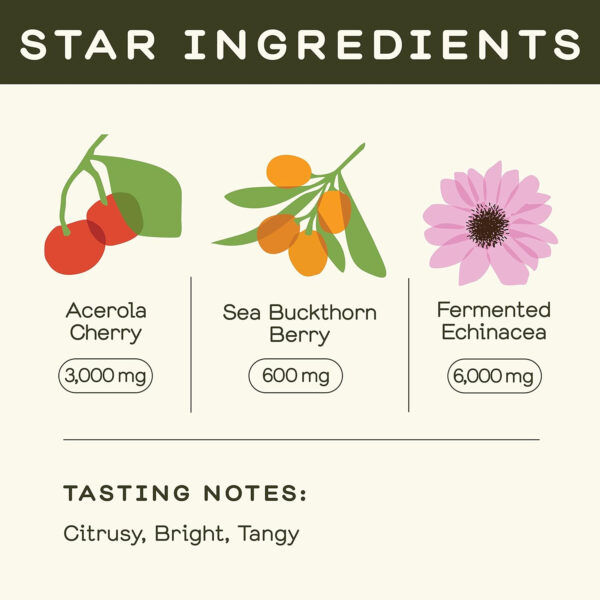 Greenhouse Juice Detox Wellness Shots Organic Immunity Shots Juice Liver Health Wellness + Anti-Inflammatory with Ginseng, Milk Thistle, and Dandelion Vegan & Gluten-Free (2 Oz, Pack of 12)