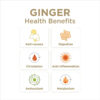 6894086d1af87ca8ce547c7eb8f4848232e55e2ff4a5437057354.jpg Turmeric Gingerade, Ginger Soother by The Ginger People – Drug Free Digestive Health, Turmeric Flavor, Premium Quality Turmeric Juice, Single - 32 Oz (Pack of 1)