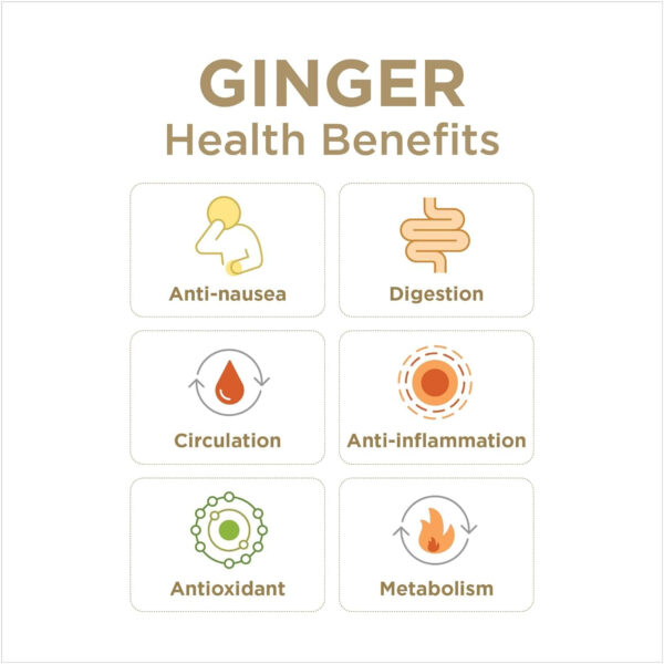 6894086d1af87ca8ce547c7eb8f4848232e55e2ff4a5437057354.jpg Turmeric Gingerade, Ginger Soother by The Ginger People – Drug Free Digestive Health, Turmeric Flavor, Premium Quality Turmeric Juice, Single - 32 Oz (Pack of 1)