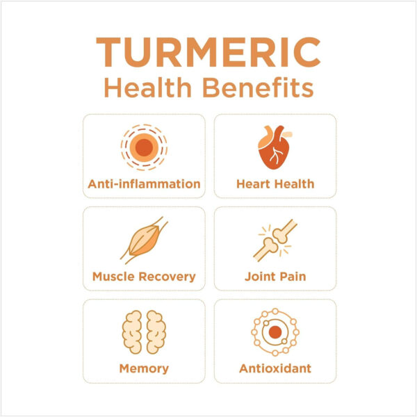 6894087282beb4898c990199e2472edc73c45027d5f0220ffd3d7.jpg Turmeric Gingerade, Ginger Soother by The Ginger People – Drug Free Digestive Health, Turmeric Flavor, Premium Quality Turmeric Juice, Single - 32 Oz (Pack of 1)