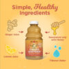 6894087b62a6cf3e2b060b33b3a990ee2a7fc50a1060c494efd74.jpg Turmeric Gingerade, Ginger Soother by The Ginger People – Drug Free Digestive Health, Turmeric Flavor, Premium Quality Turmeric Juice, Single - 32 Oz (Pack of 1)