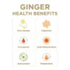6894087c9f280defd07bfb48f9bdded0bc46b764f7c821415e5cf.jpg Turmeric Gingerade, Ginger Soother by The Ginger People – Drug Free Digestive Health, Turmeric Flavor, Premium Quality Turmeric Juice, Single - 32 Oz (Pack of 1)