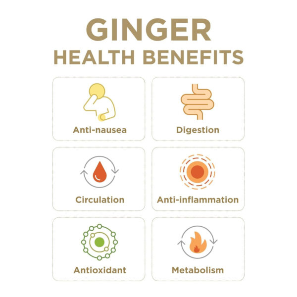 6894087c9f280defd07bfb48f9bdded0bc46b764f7c821415e5cf.jpg Turmeric Gingerade, Ginger Soother by The Ginger People – Drug Free Digestive Health, Turmeric Flavor, Premium Quality Turmeric Juice, Single - 32 Oz (Pack of 1)