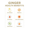 6894088d1104ae37f79a2230b0f66a2f6ab655babae99bba77b55.jpg Turmeric Gingerade, Ginger Soother by The Ginger People – Drug Free Digestive Health, Turmeric Flavor, Premium Quality Turmeric Juice, Single - 32 Oz (Pack of 1)