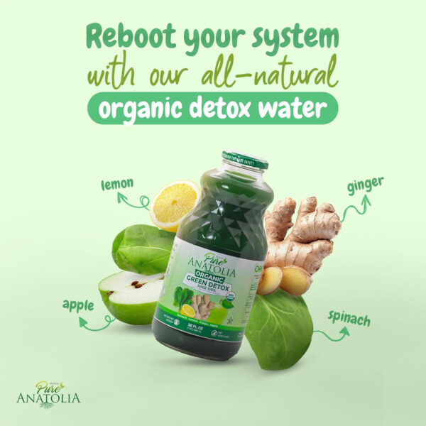 689409367b128d0966582901ae4086e150d620e6d3c309b6940e7.jpg Organic Green Detox Juice by Pure Anatolia - Boost Immunity, Enhance your Health - USDA Organic, Gluten Free, Vegan - Reusable 1 Glass Bottle of 32 fl oz.