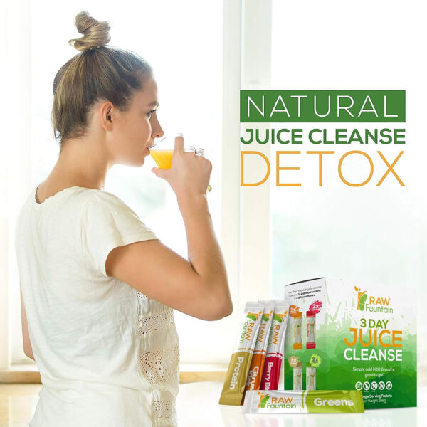 Raw Fountain 3 Day Juice Cleanse Detox, 24 Powder Packets, Travel and Vegan Friendly, 4 All Natural Flavors, Includes Protein (3 Day)