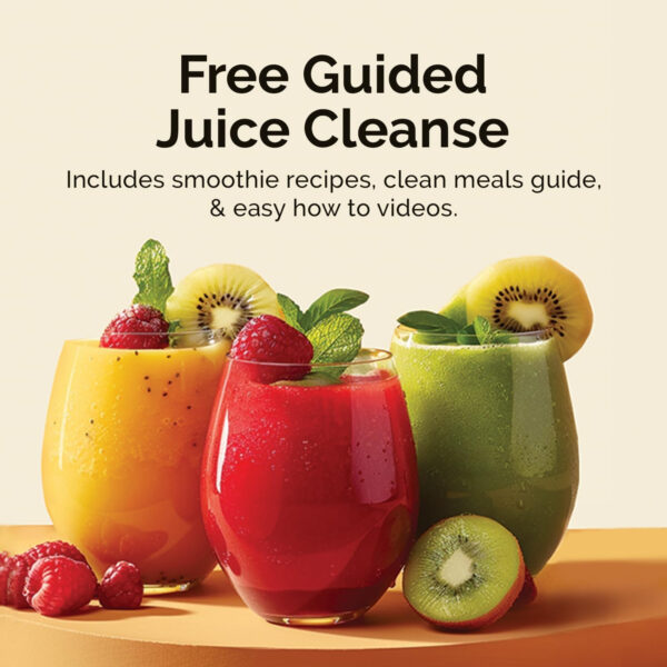 Smart Pressed Juice 1-Day Organic Juice Cleanse | Healthy Detox Program | Vegan Vanilla Protein, Green Juice, Beets Juice & Pineapple Chia Cleanse | High Fiber & Vegan