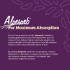 68940b29b6ae4fc13ab31b51dbeb60943f7a229930db9dff010ba.jpg Lily Of The Desert Aloe Vera Herbal Detox Formula - Aloe Vera Juice with Milk Thistle, Slippery Elm, Burdock Root, Dandelion Root, and Echinacea for Gut Health, Liver Support, and Wellness, 32 Oz
