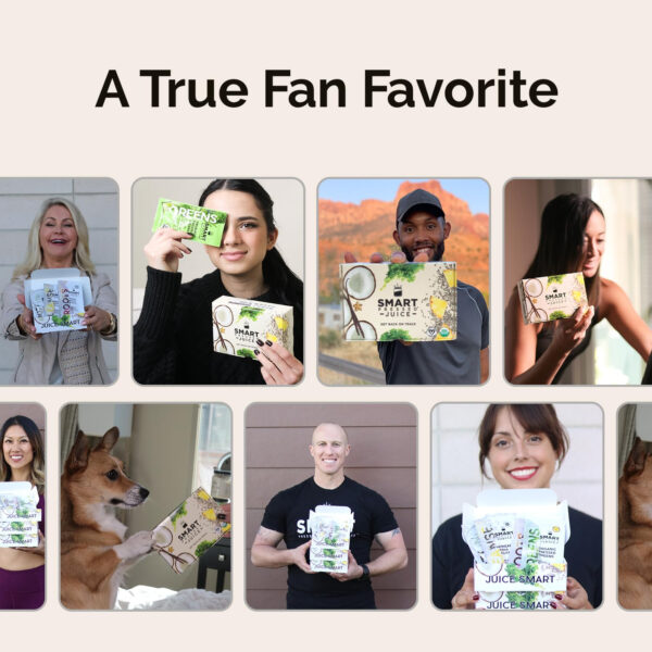 SMART Pressed Juice 3-Day Organic Juice Cleanse | Healthy Detox Program | Vegan Vanilla Protein, Cold-Pressed Green Juice, Beets Juice & Pineapple Chia Cleanse | High Fiber & Vegan