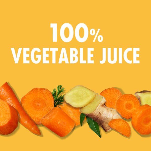 V8 Beet Ginger Lemon 100% Vegetable Juice, 46 fl oz Bottle