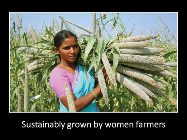 DAANA Sesame Oil for Skin: Certified USDA Organic, Extra Virgin, Cold Pressed (12 fl oz)