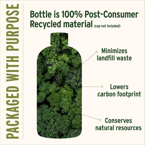 Banyan Botanicals Sesame Oil – Organic & Unrefined Sesame Oil for Skin, Body, Hair & More – Multiple Sizes – 8 oz – Non GMO Sustainably Sourced Vegan