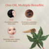 68945888bf03776ae78d2ebc862873e99ef765b9ee9740ffc469a.jpg Life & Pursuits 100% Cold-Pressed Unrefined Sesame Oil - Nourishing Oil for Hair and Skin, Promotes Radiance, Moisture, and Healthy Growth for Men & Women (6.76 Fl Oz)
