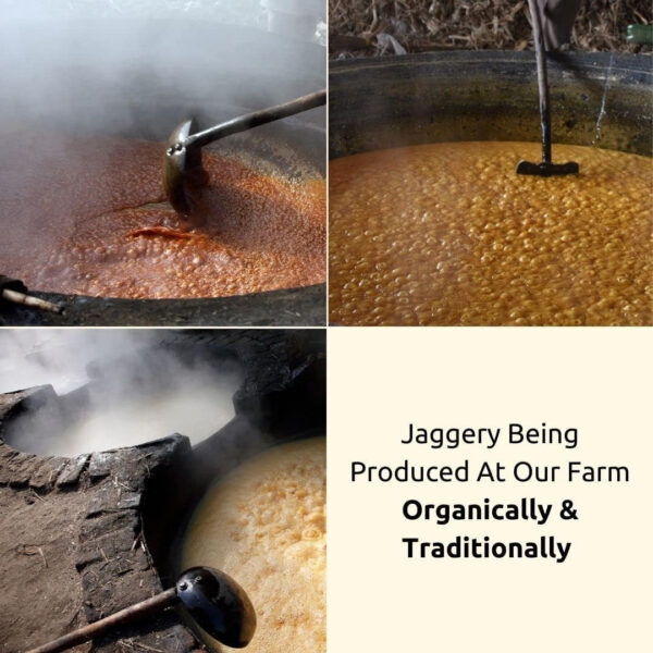 689462870c5d95567ef066c2b3d0fae0b98b22608785bb98c5c59.jpg Danodia Foods Organic Jaggery Cubes 1 lb (450g), Pure & Natural, No Additives Sweetener, Vegan & Gluten-Free, Nutrient-Rich Alternative to Refined Sugar for Tea & Coffee, Indian Origin