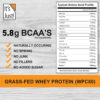 It's Just! - 100% Whey Protein Concentrate, Made in USA, RBST/rBGH Hormone Free, Premium WPC-80, No Added Flavors or Artificial Sweeteners (1.25 Pound, Unflavored)