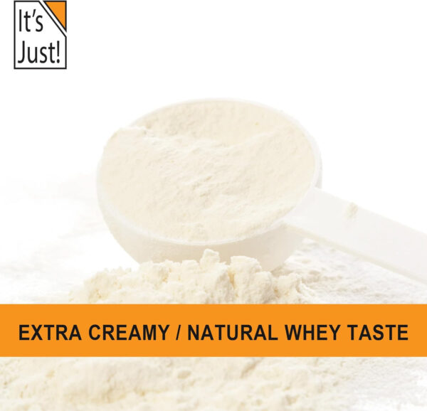 It's Just! - 100% Whey Protein Concentrate, Made in USA, RBST/rBGH Hormone Free, Premium WPC-80, No Added Flavors or Artificial Sweeteners (1.25 Pound, Unflavored)