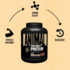 68946e0aeb6a66a72ed10543b7d5287de16694feda08fd29beed8.jpg Animal 100% Whey Protein Powder – Whey Blend for Pre Workout or Post Workout, Recovery, or an Anytime Low Sugar Protein Boost Meal Replacement with BCAA Branched Chain Amino Acids – Chocolate, 4 lb