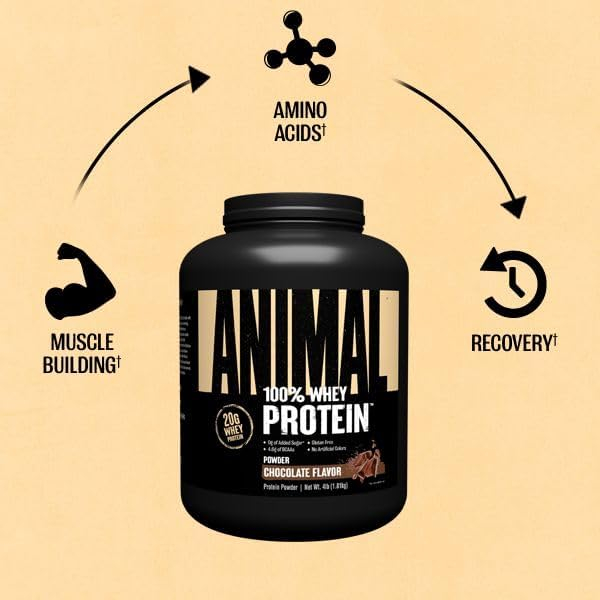 68946e0aeb6a66a72ed10543b7d5287de16694feda08fd29beed8.jpg Animal 100% Whey Protein Powder – Whey Blend for Pre Workout or Post Workout, Recovery, or an Anytime Low Sugar Protein Boost Meal Replacement with BCAA Branched Chain Amino Acids – Chocolate, 4 lb