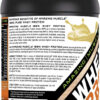 Amazing Muscle 100% Whey Protein Powder *Advanced Formula with Whey Protein Isolate Along with Ultra Filtered Whey Protein Concentrate (Cookie & Cream, 5 Lb)
