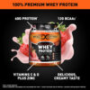 Body Fortress 100% Whey, Premium Protein Powder, Chocolate, 1.78lbs