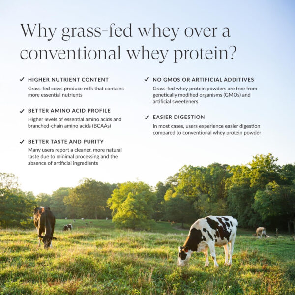 689471431af347b609c80214d2d729e5a15d26d8c2e4a0ba6f9e0.jpg Beam Grass Fed Whey Protein Powder – Chocolate Peanut Butter, 12 Servings, 22g Protein Per Serving, Clean Whey Isolate & Concentrate, Low Carb, Paleo Friendly, GMO Free, Gluten Free, 3rd Party Tested