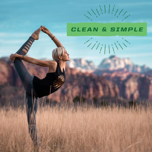 Brown Rice Protein Powder with Bcaa & Amino Acids Raw Rice Protein Shake Gluten Free Low Carb Dairy Free | Plant Based Classic Sprouted Brown Rice Protein Powder Natural 375g by Sunwarrior