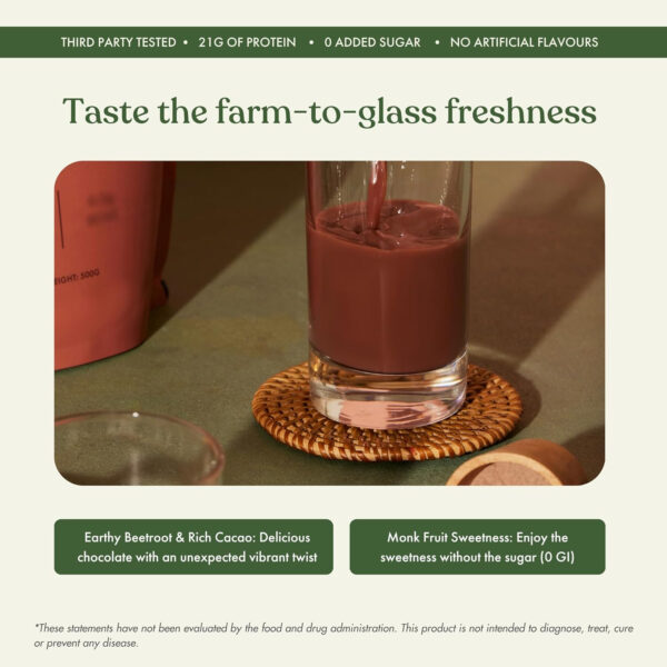 No-Nonsense Plant Protein, 21g Organic Brown Rice & Pea Isolate, Plant Based, Vegan, Gluten/Dairy Free, Sugar Free, Vanilla Latte, 1.1lb (1pk, 13 Servings)