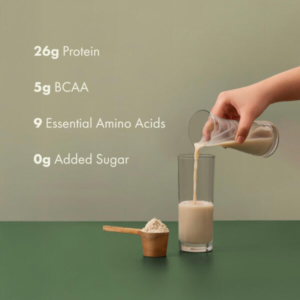 No-Nonsense Plant Protein, 21g Organic Brown Rice & Pea Isolate, Plant Based, Vegan, Gluten/Dairy Free, Sugar Free, Vanilla Latte, 1.1lb (1pk, 13 Servings)