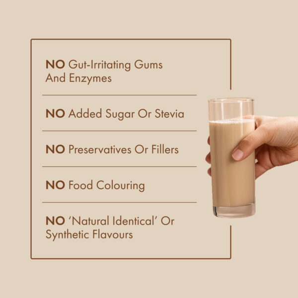 No-Nonsense Plant Protein, 21g Organic Brown Rice & Pea Isolate, Plant Based, Vegan, Gluten/Dairy Free, Sugar Free, Vanilla Latte, 1.1lb (1pk, 13 Servings)