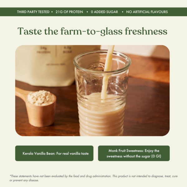 No-Nonsense Plant Protein, 21g Organic Brown Rice & Pea Isolate, Plant Based, Vegan, Gluten/Dairy Free, Sugar Free, Vanilla Latte, 1.1lb (1pk, 13 Servings)