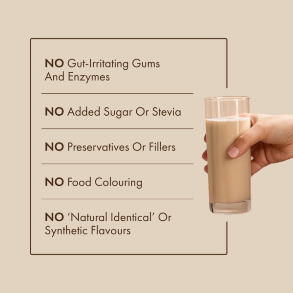 No-Nonsense Plant Protein, 21g Organic Brown Rice & Pea Isolate, Plant Based, Vegan, Gluten/Dairy Free, Sugar Free, Vanilla Latte, 1.1lb (1pk, 13 Servings)