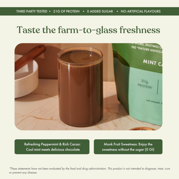 No-Nonsense Plant Protein, 21g Organic Brown Rice & Pea Isolate, Plant Based, Vegan, Gluten/Dairy Free, Sugar Free, Vanilla Latte, 1.1lb (1pk, 13 Servings)