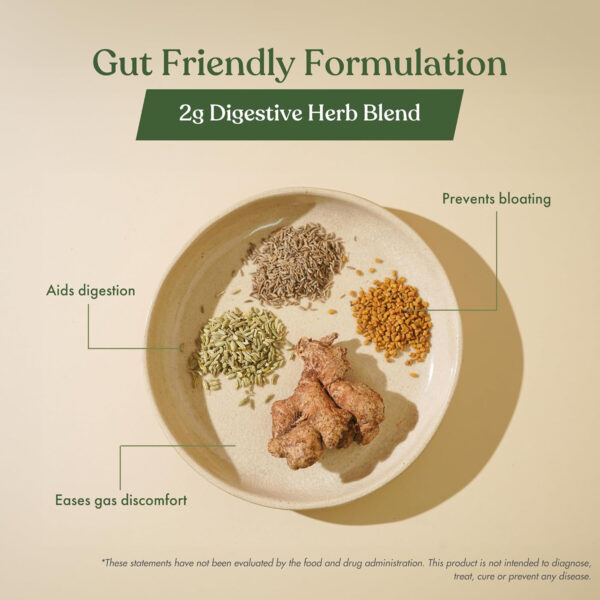 No-Nonsense Plant Protein, 21g Organic Brown Rice & Pea Isolate, Plant Based, Vegan, Gluten/Dairy Free, Sugar Free, Vanilla Latte, 1.1lb (1pk, 13 Servings)