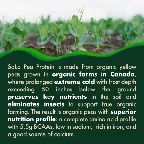 SOLO Organic Pea Protein Isolate, Low in Sodium, Canada Grown Peas, 100% Vegan, Non-GMO, Unflavored Plant Based Protein Powder with BCAA, Keto & Paleo Friendly, Easy to Digest, No Additives (2.7 lbs)