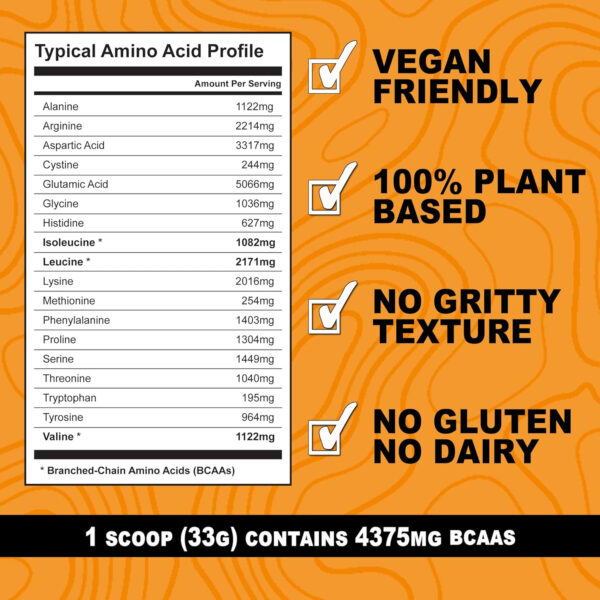 It's Just! - 100% Pea Protein, Vegan Plant Based, Grown in Canada, Premium Quality, Smooth Texture, Non-GMO, Gluten Free, Keto Friendly (1.5 Pound, Unflavored)