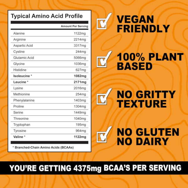 It's Just! - 100% Pea Protein, Vegan Plant Based, Grown in Canada, Premium Quality, Smooth Texture, Non-GMO, Gluten Free, Keto Friendly (1.5 Pound, Unflavored)