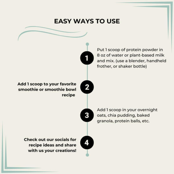 Organic Plant-Based - Rice, Pea, Pumpkin Seed Protein Powder - Chocolate - with Digestive Enzymes, No Additives, Dairy-Free, Soy-Free, Keto-Friendly, Gluten-Free, Non-GMO - 17 Servings (442g)