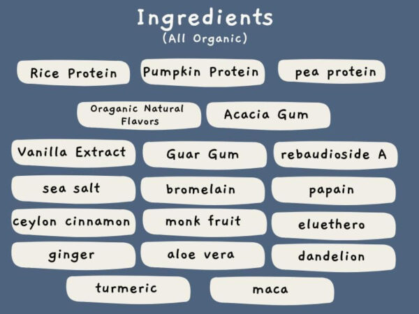 Organic Plant-Based - Rice, Pea, Pumpkin Seed Protein Powder - Chocolate - with Digestive Enzymes, No Additives, Dairy-Free, Soy-Free, Keto-Friendly, Gluten-Free, Non-GMO - 17 Servings (442g)