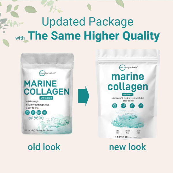 Micro Ingredients Marine Collagen Peptides Powder, 1 lb | Type I Marine Collagen + Natural Protein | Wild-Caught Fish Source | Unflavored | Supports Hair, Skin & Joint Health | Pescatarian, Non-GMO