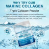 NATURE TARGET Marine Collagen Peptides Powder - Type I & III Collagen with Probiotics, Vitamin C & Hyaluronic Acid for Skin, Hair, Nails, Wild-Caught Fish & Grass-Fed Bovine, 35 Servings