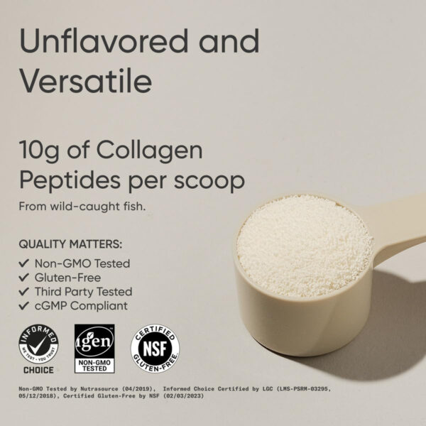 68958a26c0748fb3b2f1af6fe9e61fd8fefd63d297239918335a7.jpg Sports Research Marine Collagen Peptides Powder - Sourced from Wild-Caught Fish, Pescatarian Friendly, Keto Certified & Non-GMO Verified - Easy to Mix in Water or Juice! (34 Servings)