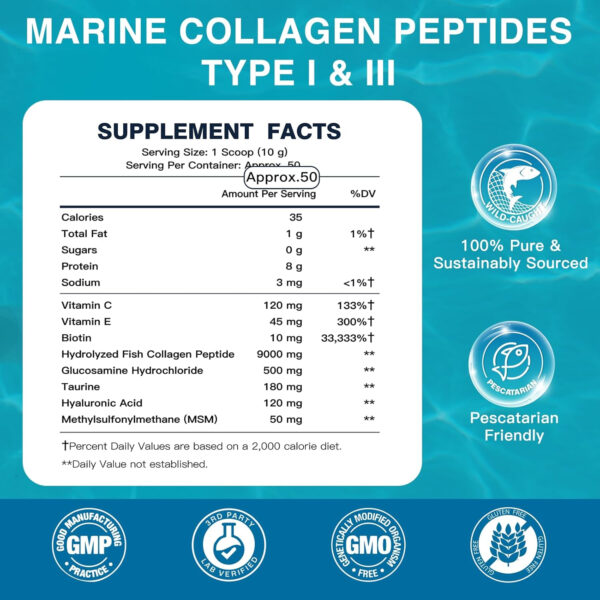 68958a6b2b9c671f7a91d6825c12e1433ecdf7a5c94208b0073e8.jpg DRFOSTER Marine Collagen Peptides Powder with MSM + GC, Multi Type I & III Collagen with Hyaluronic Acid, Vitamin C & E for Skin, Hair & Nails, Wild-Caught Fish, 50 Servings